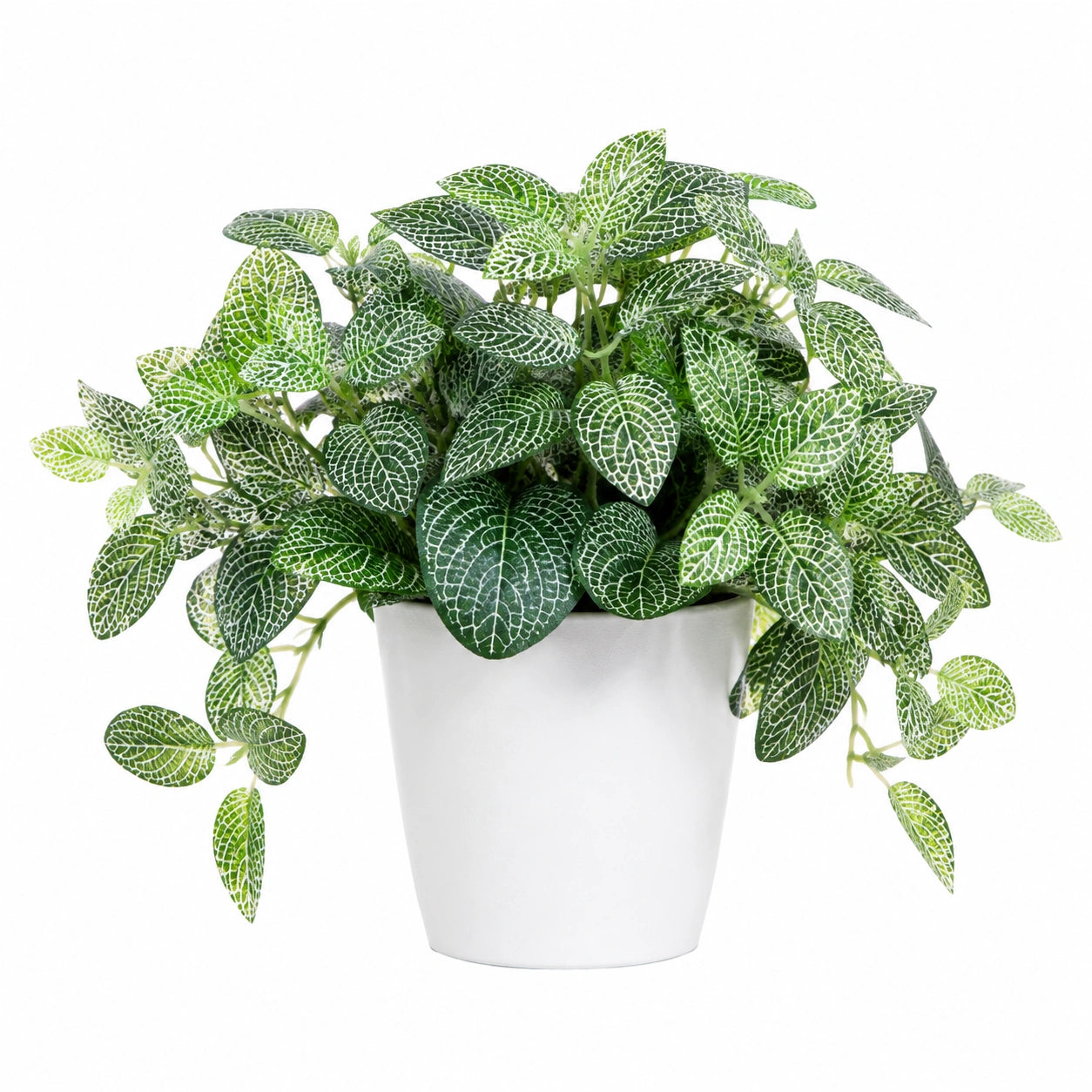 Pianta artificiale Fittonia in vaso 35 cm verde e bianco per interni