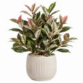 Pianta artificiale decorativa 85 cm con vaso in ceramica bianco verde rosa